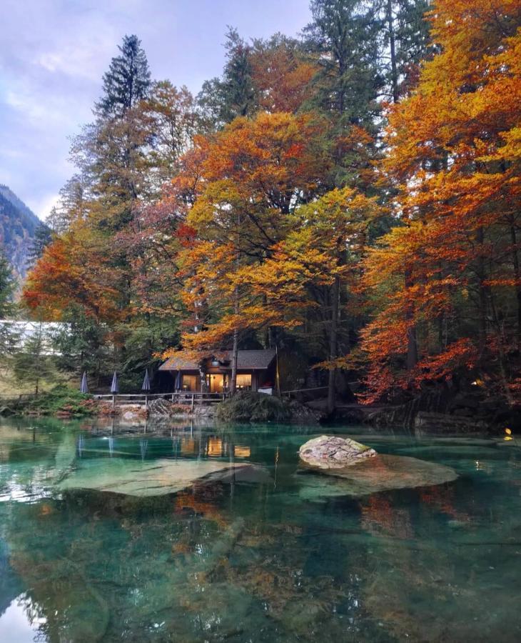 Mountain Oasis Apartment Kandersteg-Adelboden Кандергрунд Экстерьер фото
